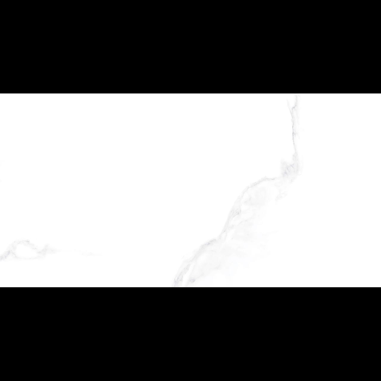瓷片